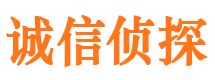 翁源市调查公司